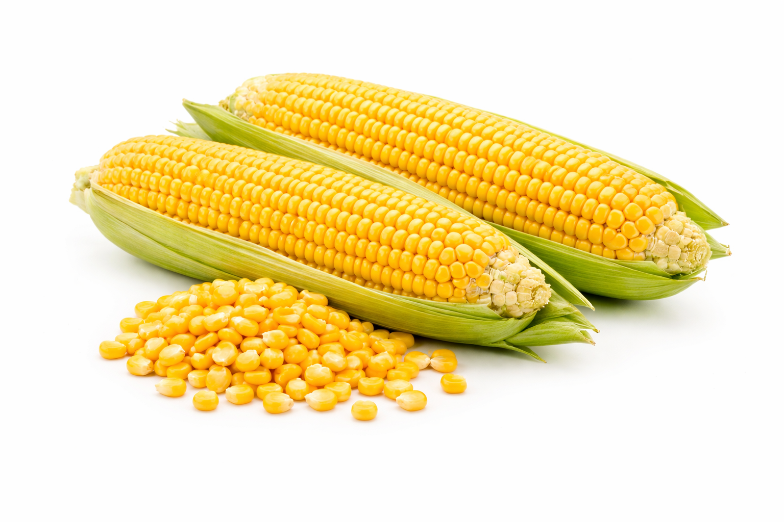 Yellow Maize