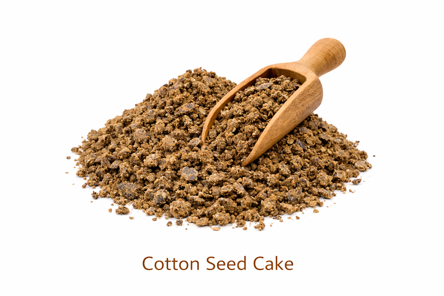 Cotton Seed Cake